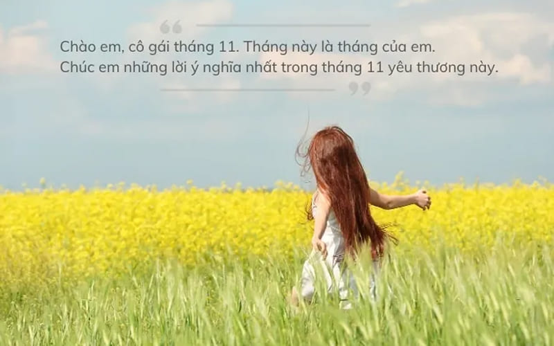 Caption tạm biệt tháng 11 ngắn gọn