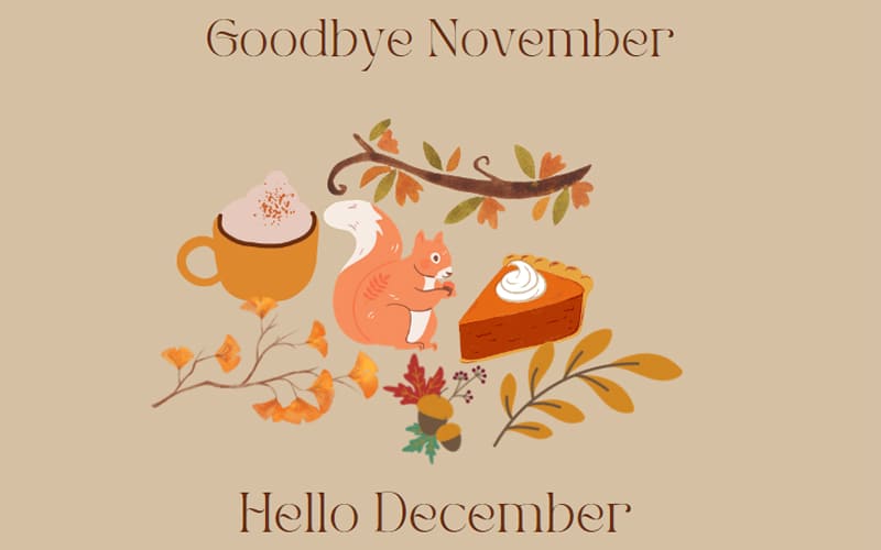 STT tạm biệt tháng 11 hay và ý nghĩa nhất