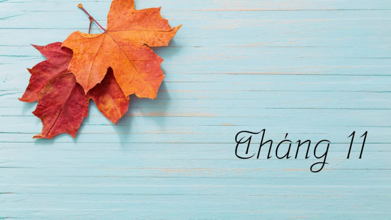 STT tạm biệt tháng 11 dành cho tình yêu