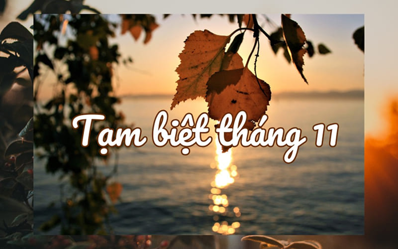 STT tạm biệt tháng 11 hài hước, vui vẻ