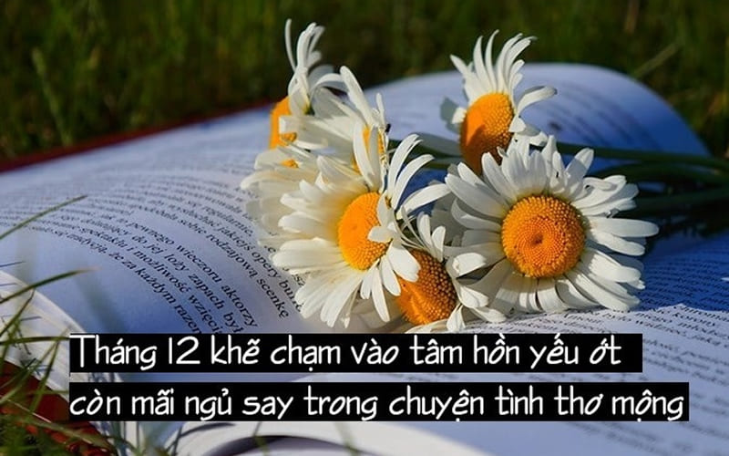 STT tạm biệt tháng 11 chào tháng 12