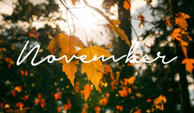 Tổng hợp 60+ STT tạm biệt tháng 11 ý nghĩa, nhẹ nhàng và đầy cảm xúc