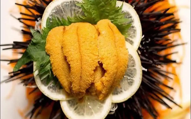 Cách 1: Ăn sống (Sashimi) - Cách cảm nhận vị ngon nguyên bản nhất