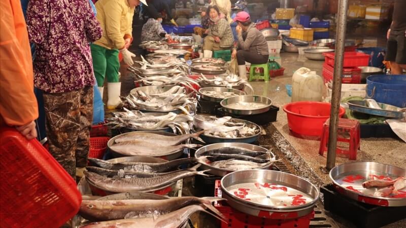 Chợ cá Thọ Quang (Đà Nẵng)