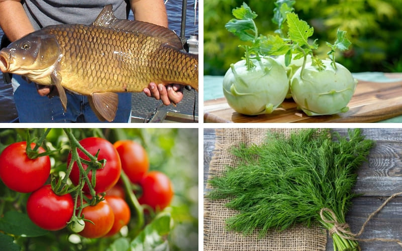 Nguyên liệu tươi ngon, chuẩn bị đầy đủ giúp món canh đậm vị và hấp dẫnNguyên liệu tươi ngon, chuẩn bị đầy đủ giúp món canh đậm vị và hấp dẫn Nguyên liệu tươi ngon, chuẩn bị đầy đủ giúp món canh đậm vị và hấp dẫn