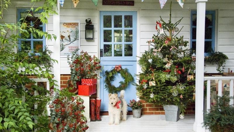 Trang trí chậu cảnh Trang trí chậu cảnh