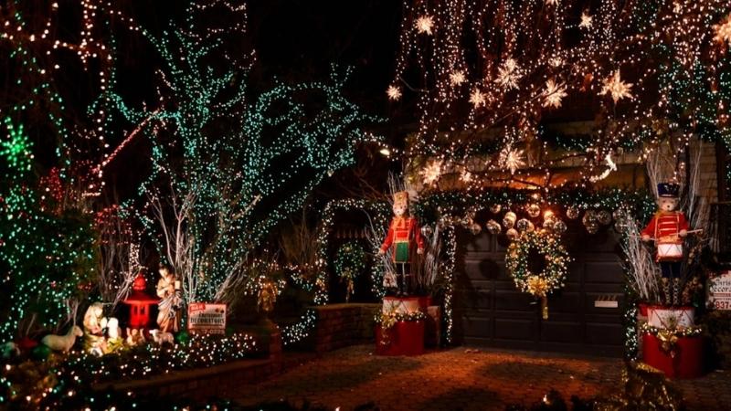 Trang trí cây cối trong sân vườn Trang trí cây cối trong sân vườn