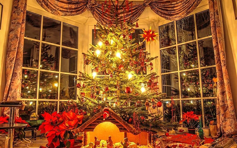 Ánh sáng vàng ấm rực rỡ từ đèn led cỡ lớn Ánh sáng vàng ấm rực rỡ từ đèn led cỡ lớn