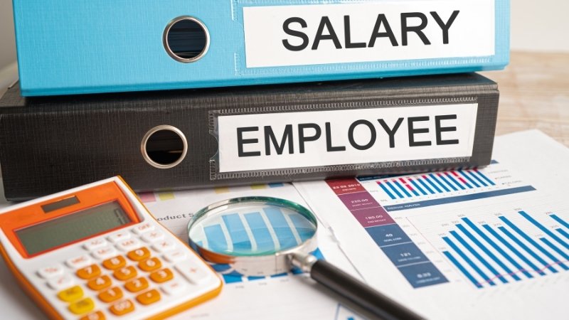 Các công ty thường trả lương vào ngày nào trong tháng?