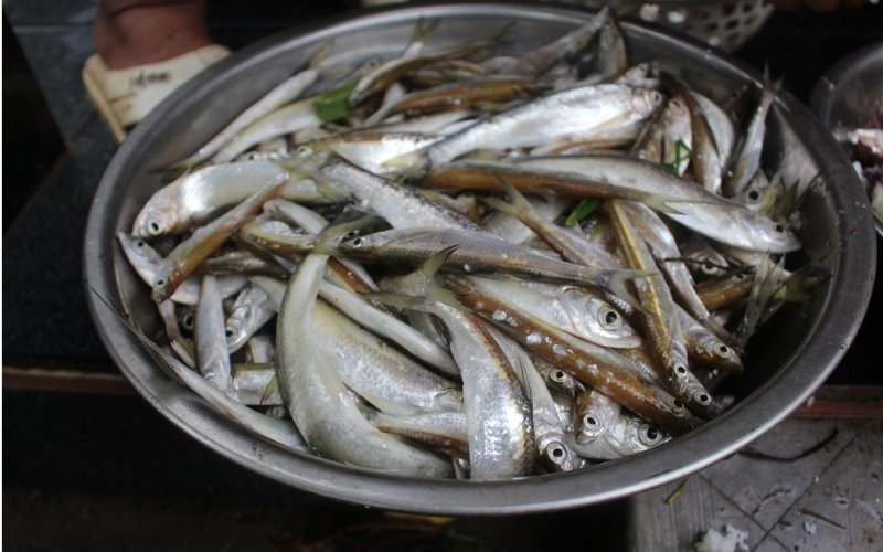 Cá mương nhỏ, sống thành đàn, xương dày đặc khó gỡ Cá mương nhỏ, sống thành đàn, xương dày đặc khó gỡ