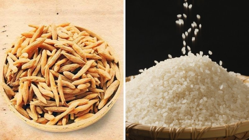 Cháo mạch môn đông gạo nếp