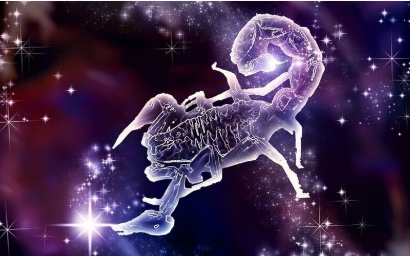 Sắp xếp tài chính, chuẩn bị thu nhập và chuyến đi cuối năm