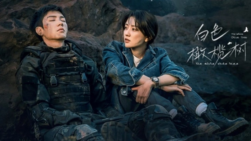 Cây Olive Màu Trắng