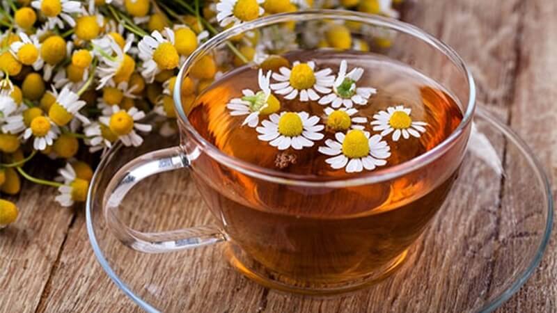 Trà hoa cúc Trà hoa cúc