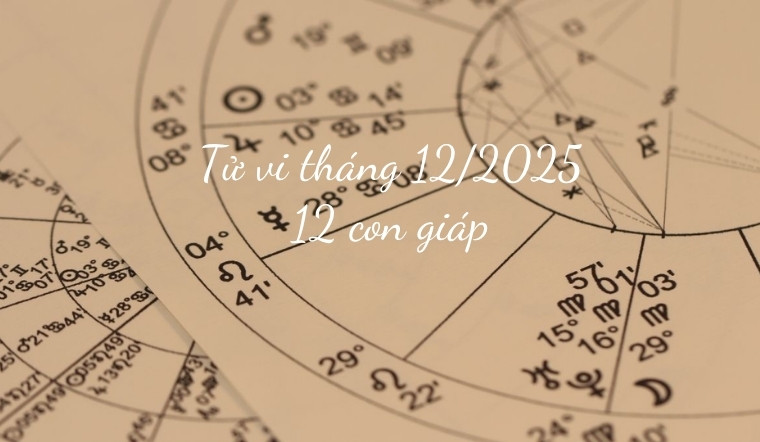 Tử vi tháng 12/2025 của 12 con giáp: Con giáp nào "chốt sổ" rực rỡ?