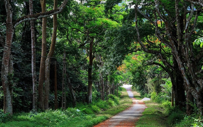 Du khách cần mua vé vào cổng để tham quan.