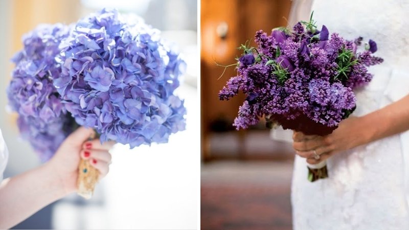 Hoa tử đinh hương