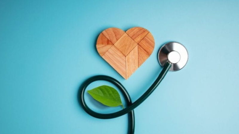 Sức khỏe Sức khỏe