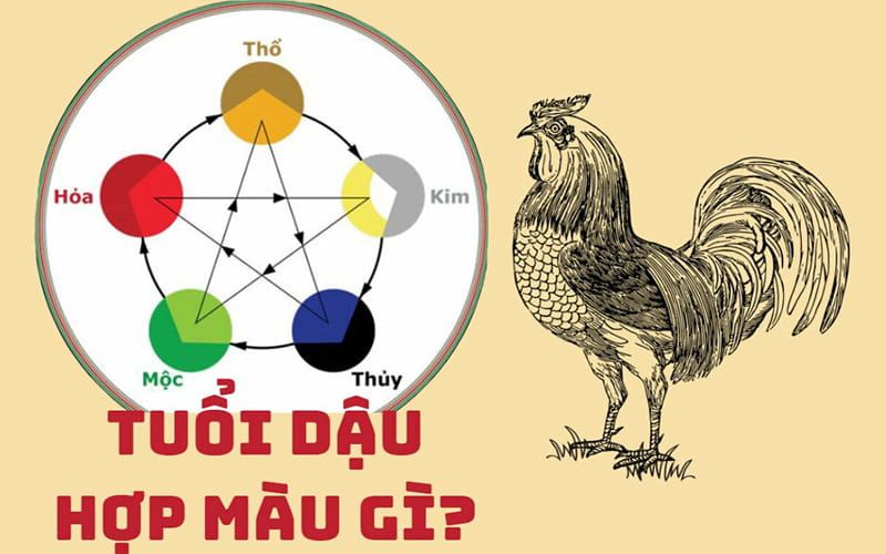 Tuổi Dậu hợp màu gì – kỵ màu gì? Tuổi Dậu hợp màu gì – kỵ màu gì?
