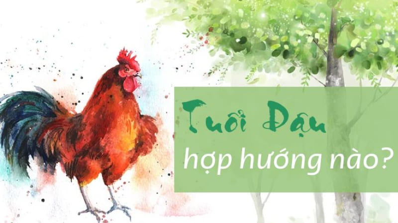 Tuổi Dậu hợp hướng nào? Tuổi Dậu hợp hướng nào?