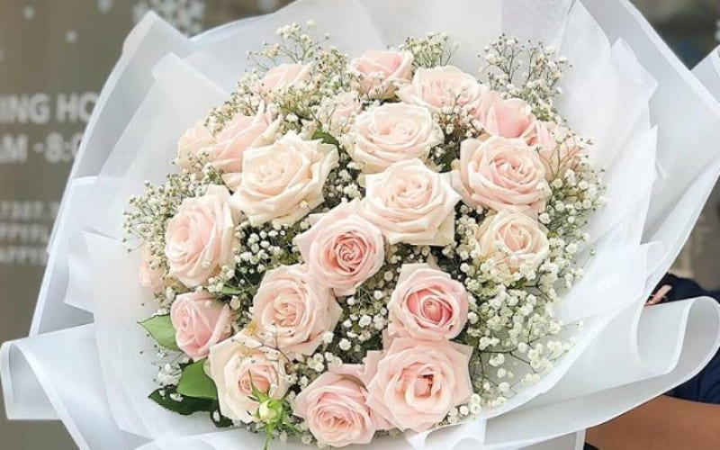 Hoa hồng phấn tượng trưng cho tình yêu dịu dàng.