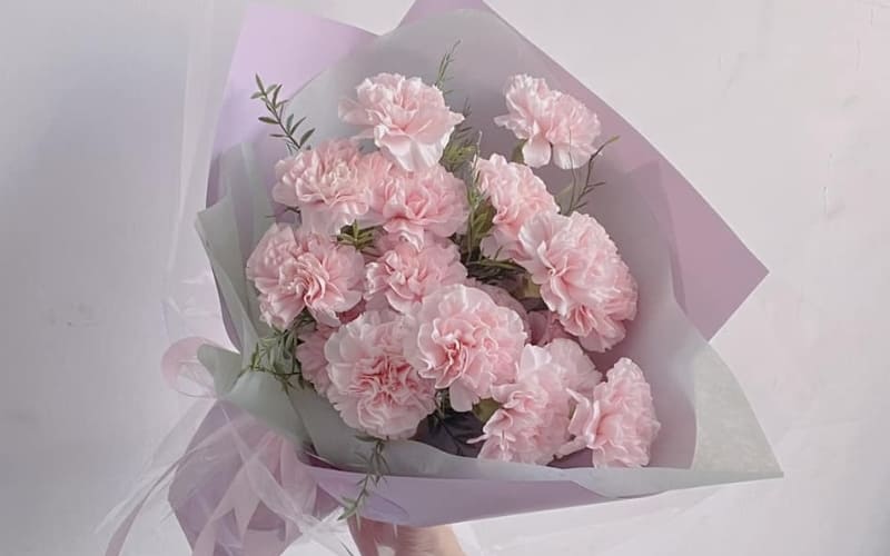 Hoa cẩm chướng hồng thể hiện lòng biết ơn chân thành.