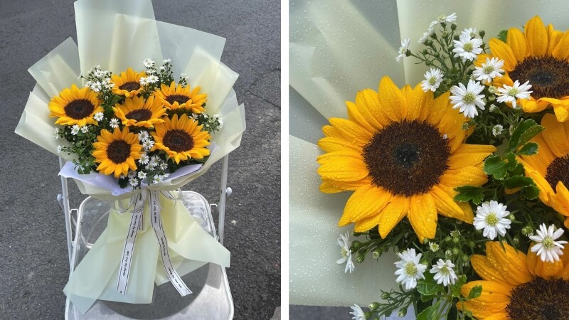 Hoa Hướng Dương