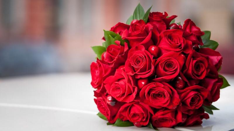 Giá một bó hoa cầu hôn là bao nhiêu? Giá một bó hoa cầu hôn là bao nhiêu?