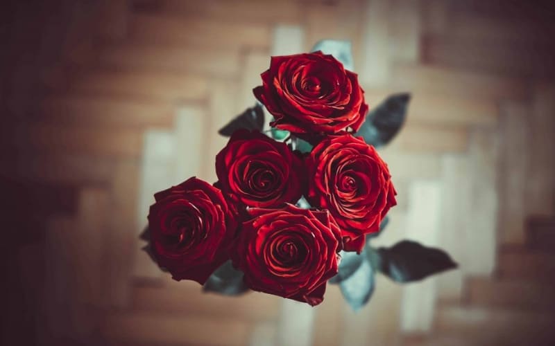 Năm bông hồng thể hiện sự quan tâm và nhớ nhung.