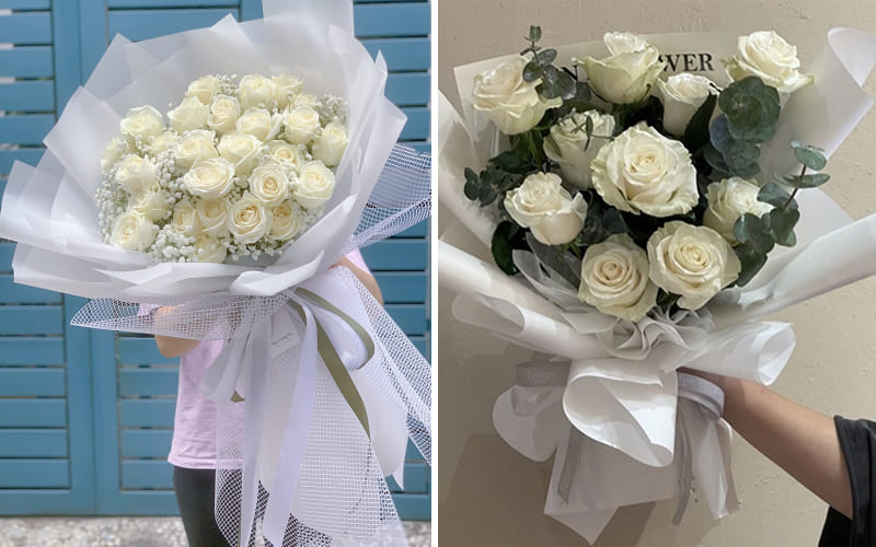 Hoa hồng trắng Hoa hồng trắng