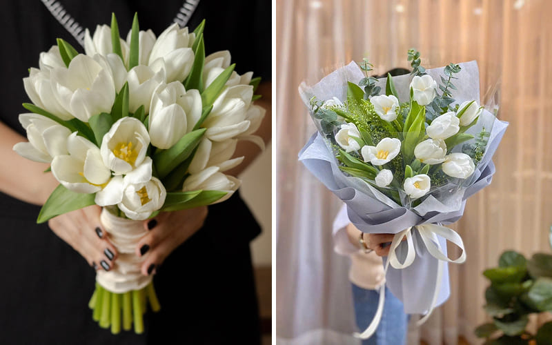 Hoa ly trắng Hoa ly trắng