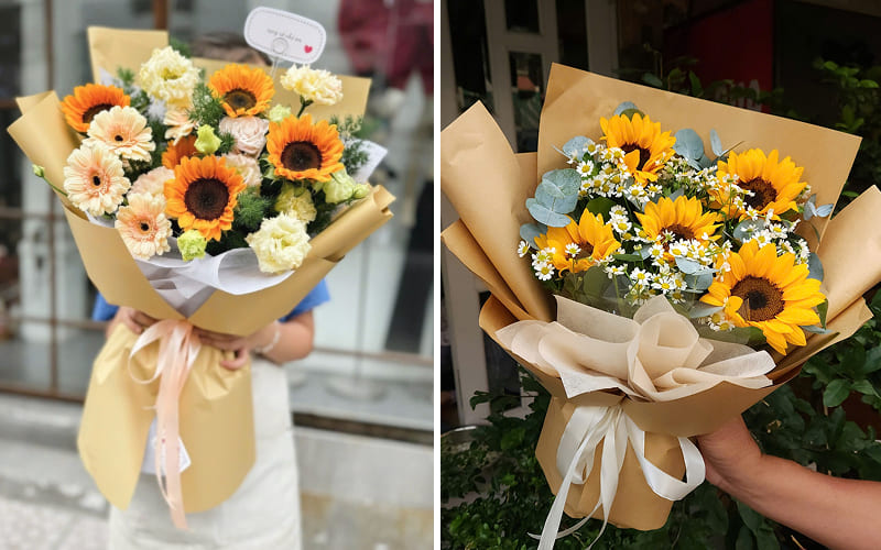 Hoa hướng dương Hoa hướng dương