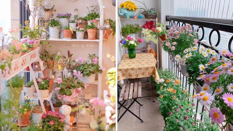 Hoa mùa đông dễ trồng ở ban công