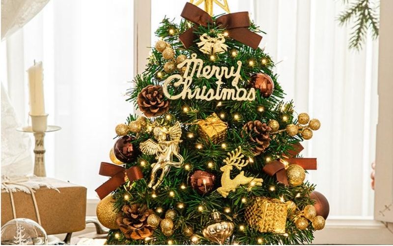 Cây thông tượng trưng cho sự sống, hy vọng và may mắn trong Giáng Sinh Cây thông tượng trưng cho sự sống, hy vọng và may mắn trong Giáng Sinh