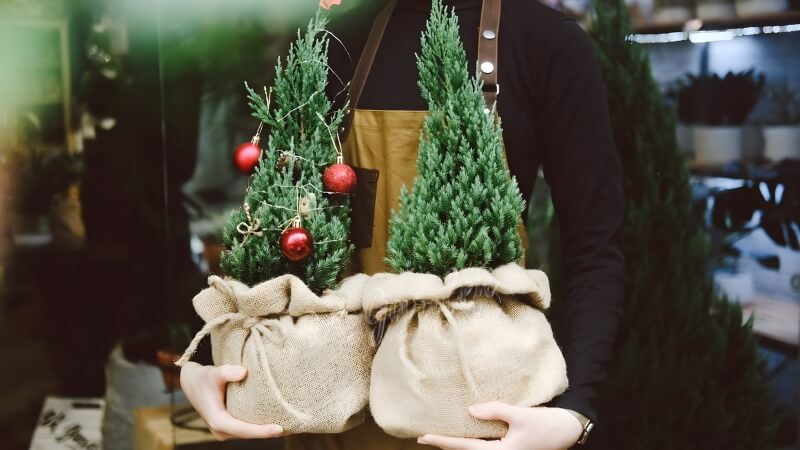 Cây thông Noel mini để bàn Cây thông Noel mini để bàn