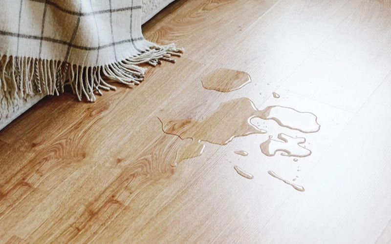 Độ ẩm ngoài trời xâm nhập khiến tầng cao cũng ẩm.