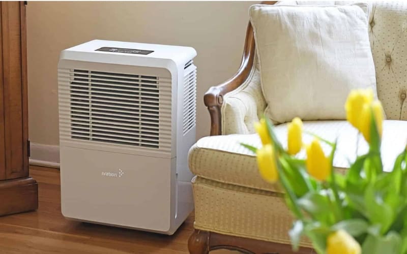 Máy hút ẩm loại bỏ hơi ẩm dư thừa trong không khí.