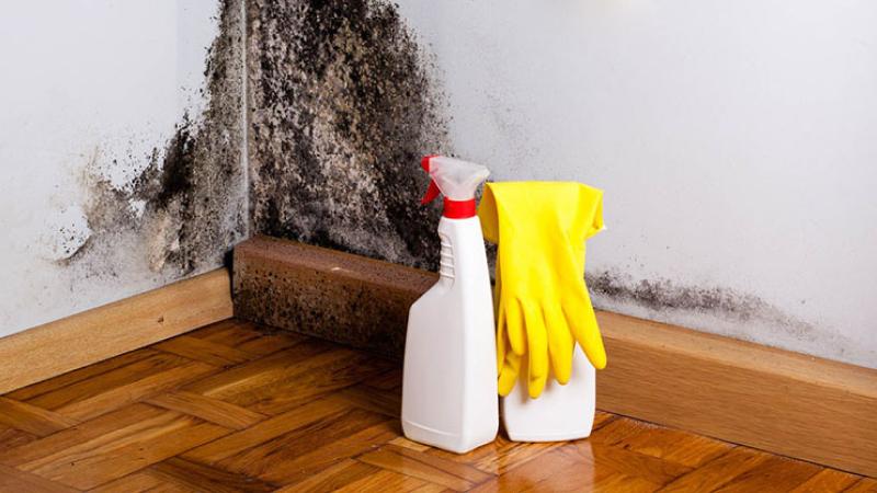 Có nên dùng thuốc tẩy để diệt mốc không?