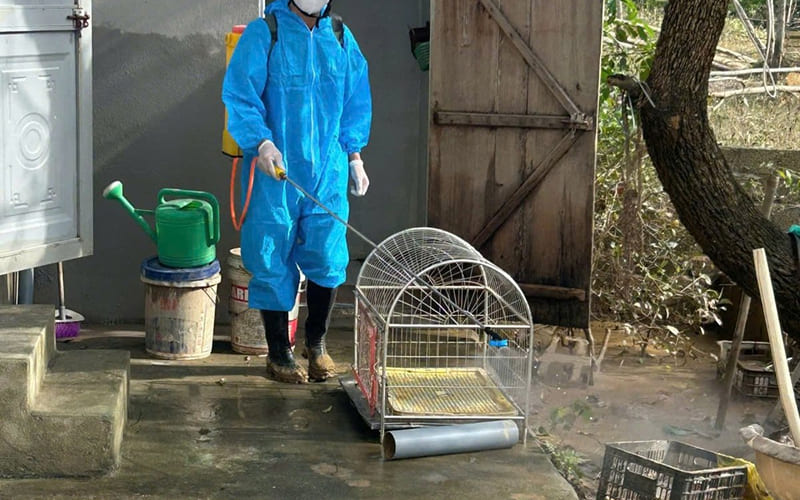 Cách khử trùng nhà sau lũ lụt