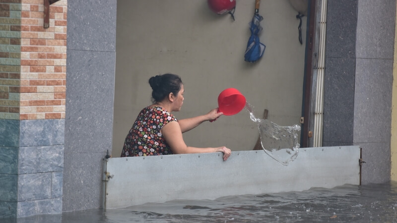 Tận dụng lúc nước chưa rút hết