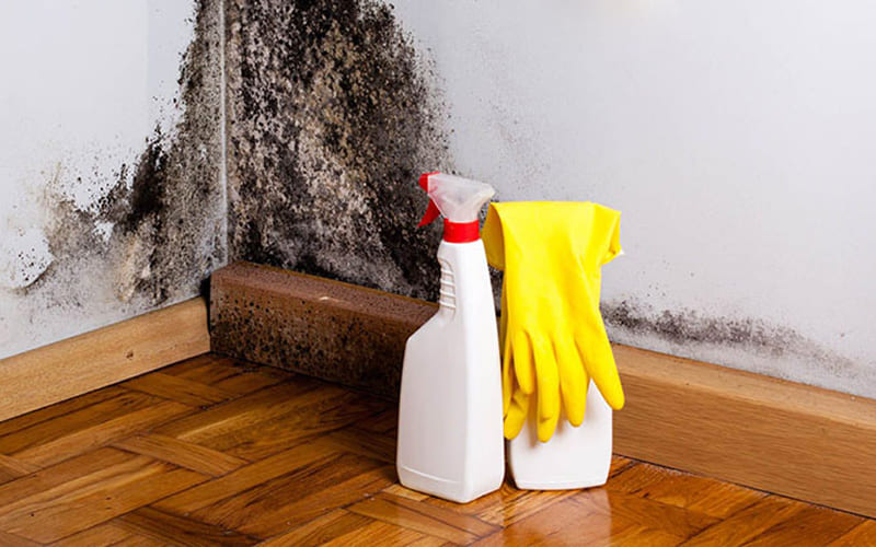 Bước 9 – Khử mùi ẩm mốc