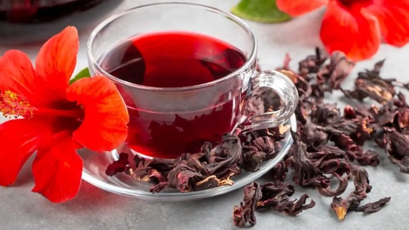 Trà hoa Bụp Tra rất tốt nếu dùng với liều lượng vừa phải Trà hoa Bụp Tra rất tốt nếu dùng với liều lượng vừa phải