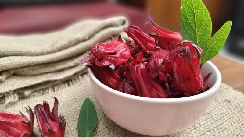 Hình ảnh hoa Bụp Tra 5 Hình ảnh hoa Bụp Tra 5