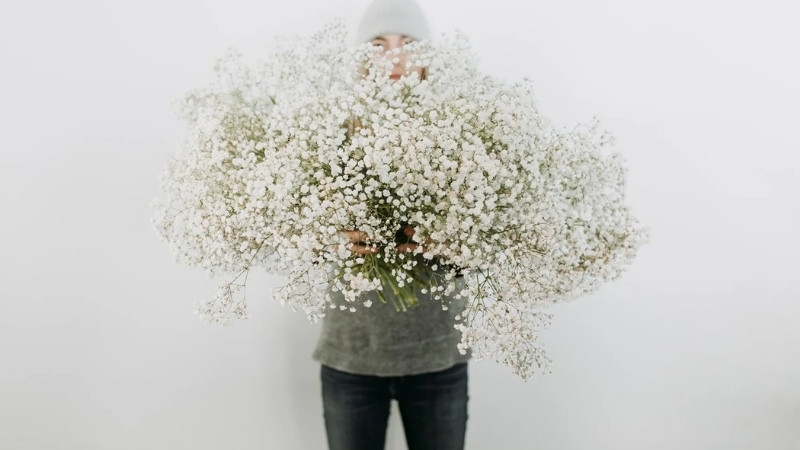 Hình ảnh 8 Hình ảnh 8