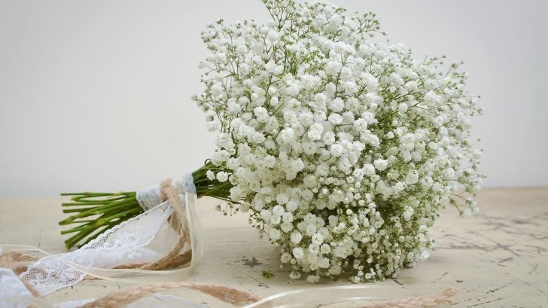 Giá hoa baby tùy thuộc vào nguồn gốc Giá hoa baby tùy thuộc vào nguồn gốc