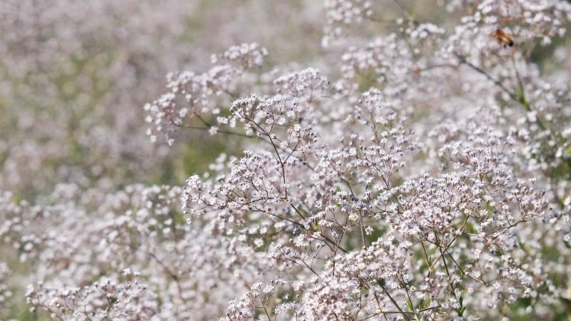 Hình ảnh 6 Hình ảnh 6