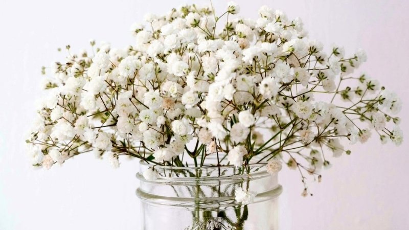 Hình ảnh 7 Hình ảnh 7