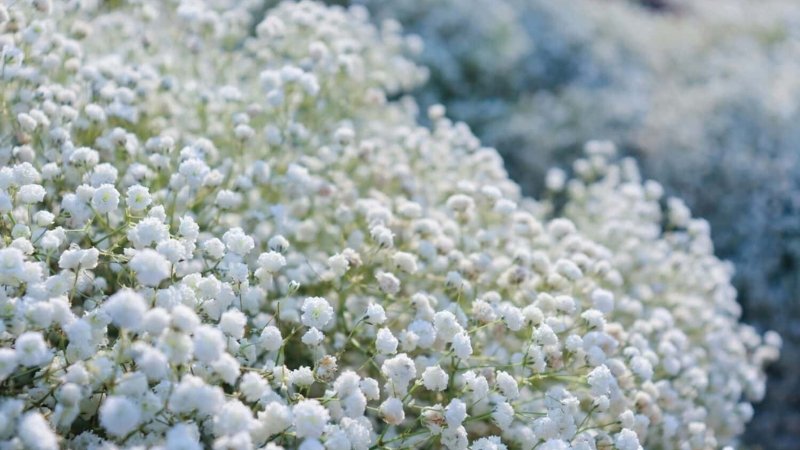 Hình ảnh 10 Hình ảnh 10