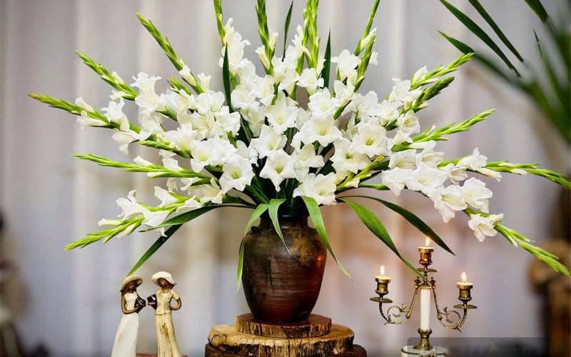 Lưu ý khi cắm hoa huệ trắng trên bàn thờ Lưu ý khi cắm hoa huệ trắng trên bàn thờ