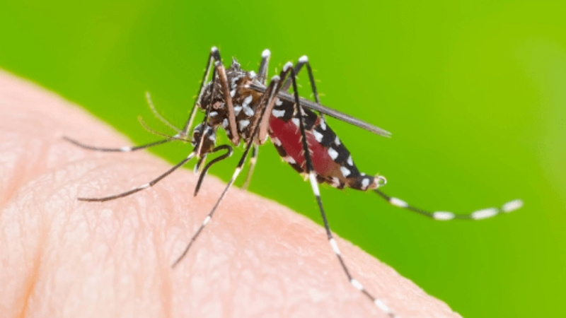 Câu hỏi thường gặp Câu hỏi thường gặp